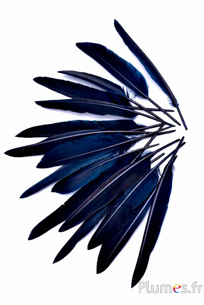 Gans blad - 12-18 cm - zwart-koffie